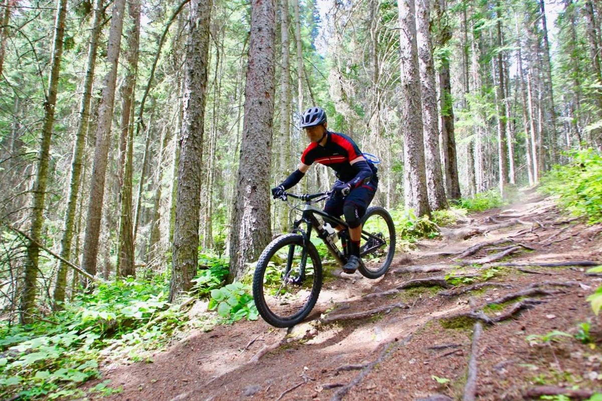 mountain bike trails near me