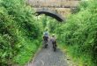 national cycle routes shropshire