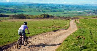 uk national cycle route