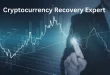 Bitcoin Recovery Services