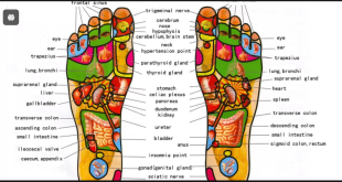 reflexology near me