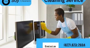 Cleaning Service