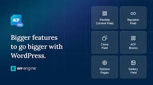Advanced Custom Fields (ACF) Pro | Original License | One Time Payment – Exclusive Deal