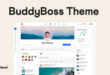 BuddyBoss Theme