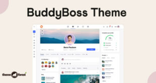 BuddyBoss Theme